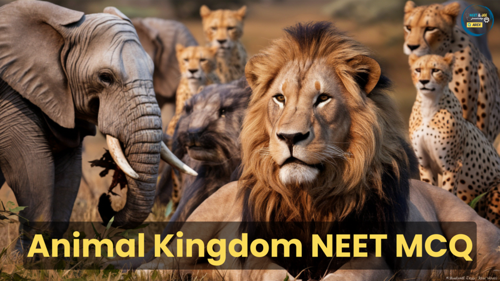 Animal Kingdom NEET MCQ with Answers