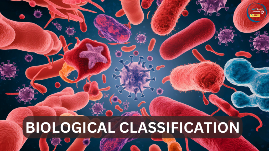 Biological Classification MCQ for NEET