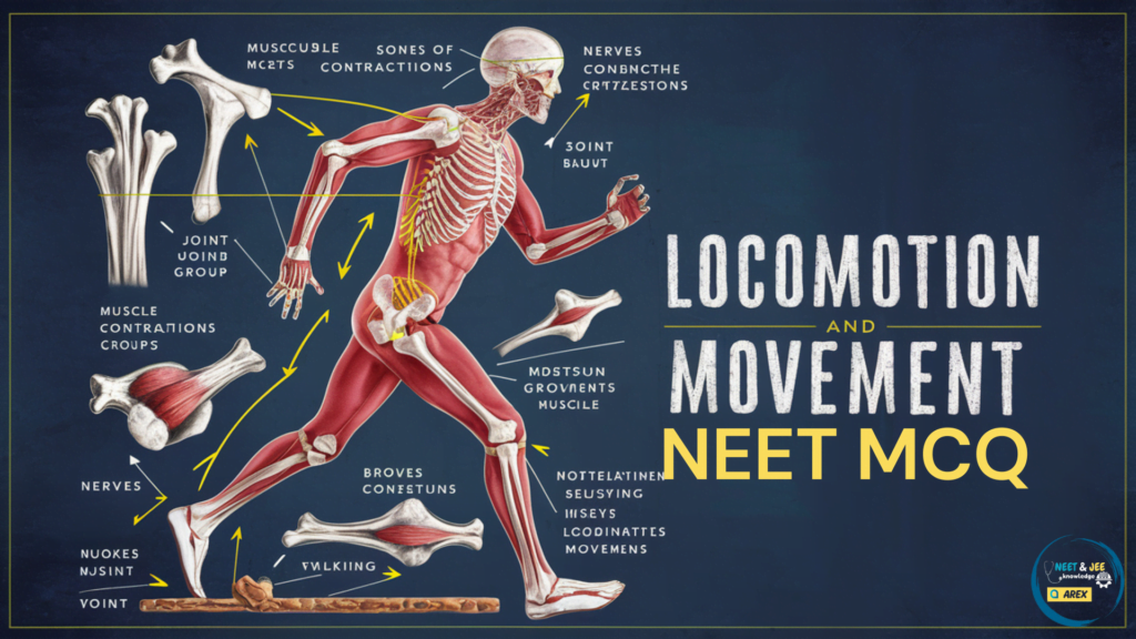 Locomotion and Movement MCQ Biology for NEET