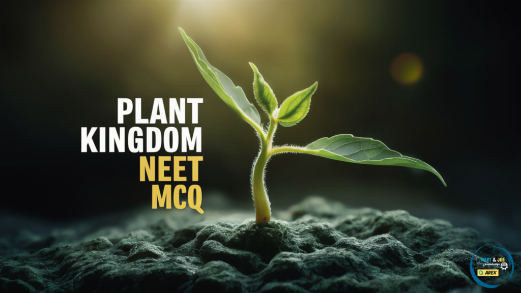 Plant Kingdom NEET MCQ with Answers