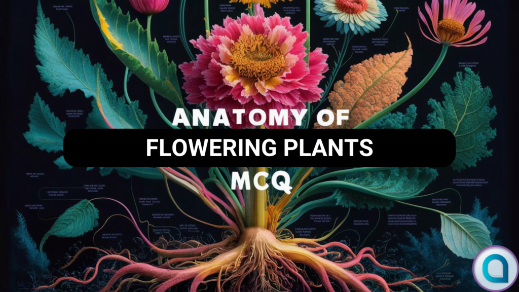 Anatomy of Flowering Plants MCQ for NEET