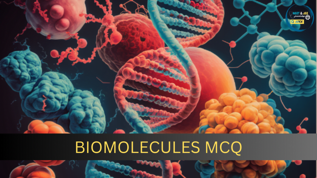 Biomolecules NEET Questions with Answers