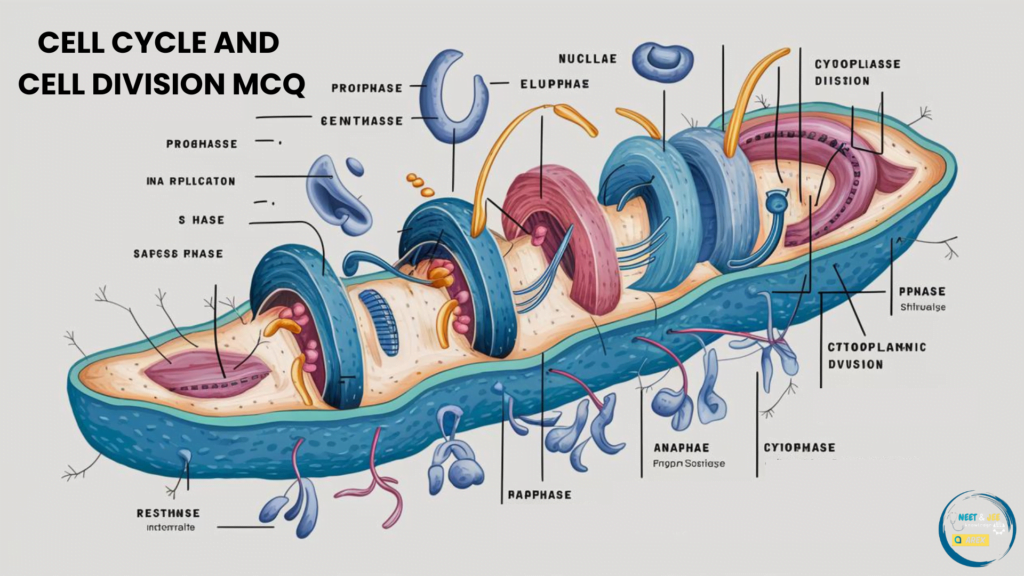 CELL CYCLE AND CELL DIVISION NEET MCQ FOR BIOLOGY