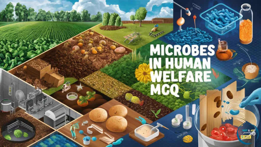 Microbes in Human Welfare NEET Questions