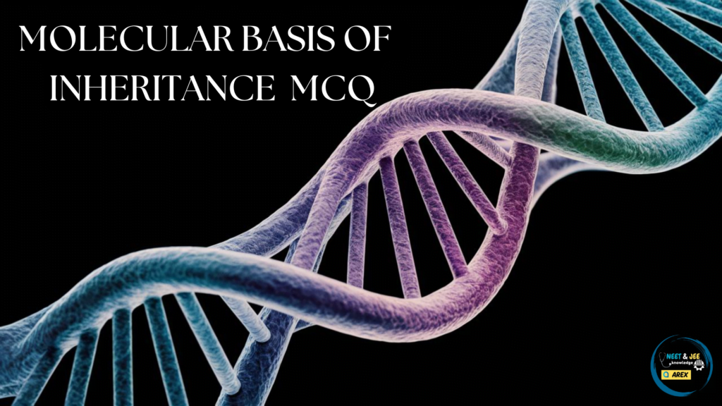 Molecular Basis of Inheritance Biology MCQ for NEET