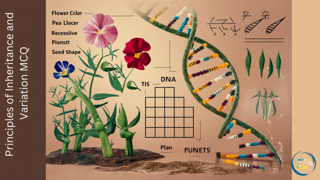 Principles of Inheritance and Variation NEET Questions
