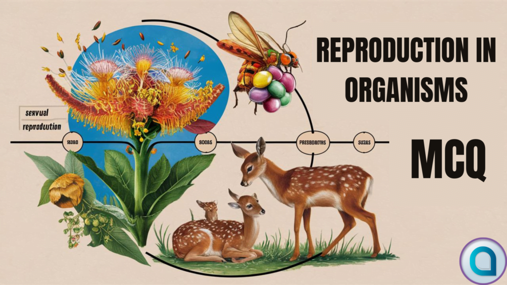 Reproduction in Organisms MCQ for NEET