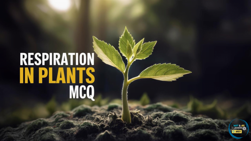 Respiration in Plants NEET Questions with Answers